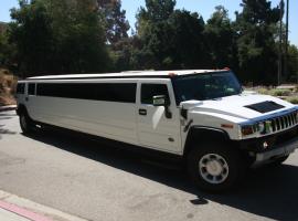 Get a private limo tour!